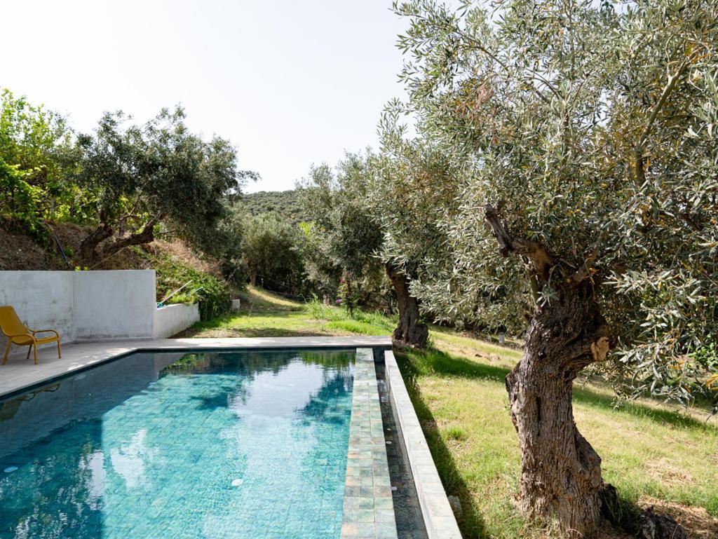 Dohos Skiathos Suites Ksanemos Zewnętrze zdjęcie